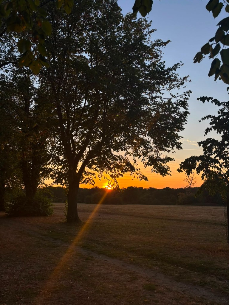 Sunset over the park where GNA Walk & Talk sessions take place